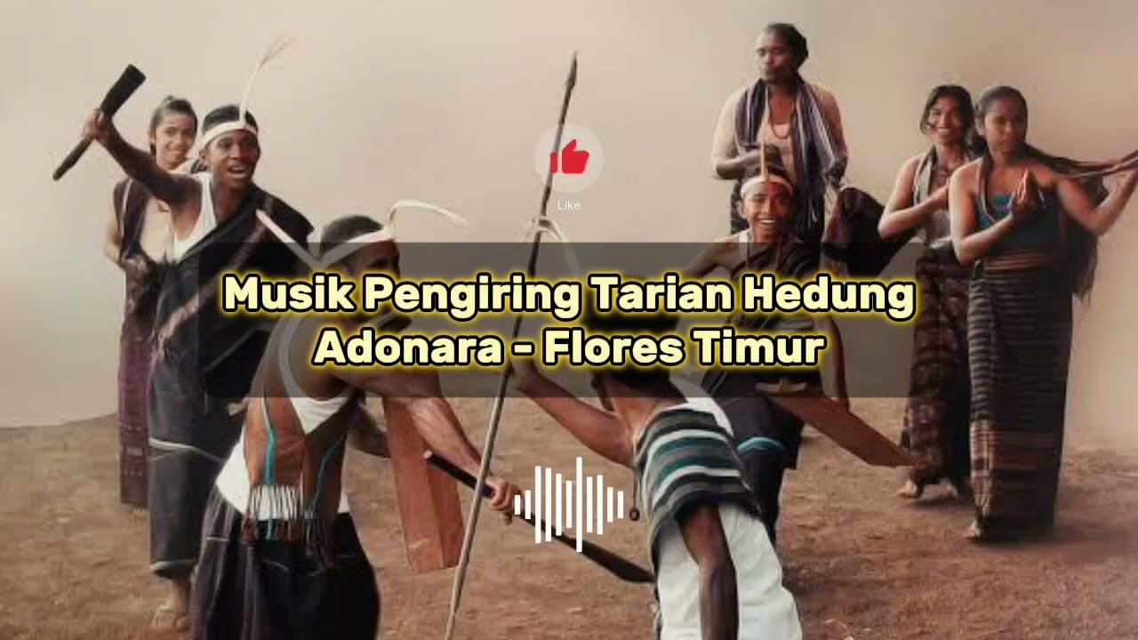 Musik Gong Tarian Hedung - Adonara, Flores Timur