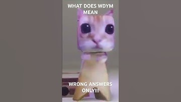 WHAT DOES WDYM MEAN?       WRONG ANSWERS ONLY #funny