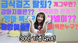 30만 구독자 기념 QnA!!