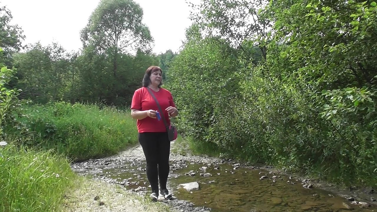 ЯК МИ ЇЗДИЛИ  В КАРПАТСЬКЕ СЕЛО ДО МОЄЇ  БРАТОВИ. ПОЇЗДКА В  КАРПАТИ    #карпати    #поїздка