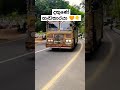 #bus #kuubiyo #dhamrejini #modified #travel #bus_pisso #sl #viral #srilankacricket #cinnamon #south