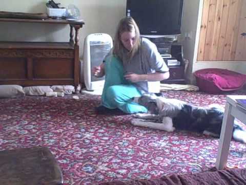 Phasing out hand signals for crawling - YouTube