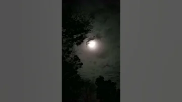 حالات واتساب ليلية مع موسيقى أغنية مسلسل حب أبيض وأسود لبدو دعم يكتبلي بالكومنت الشروط تحت بصندوق 