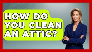 How Do You Clean An Attic? - Insects and Invaders