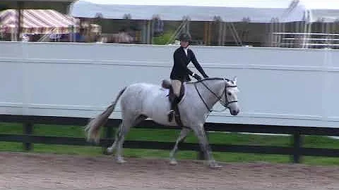 Video of Gronk 87 ridden by MADELINE SCHAEFER from ShowNet!