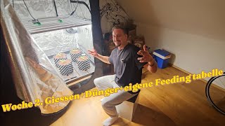 🌱 Woche 2: So dünge & gieße ich meine Pflanzen für sattes Grün! 🌿