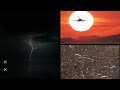 Terra Verde | Big Sun Solar