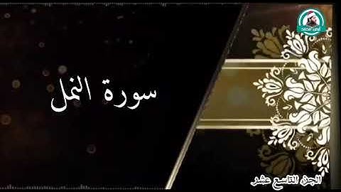 الربع الثاني من سورة النمل للقارئ أيمن محمد عبدالمنعم ( قال سننظر أصدقت أم كنت من الكاذبين )