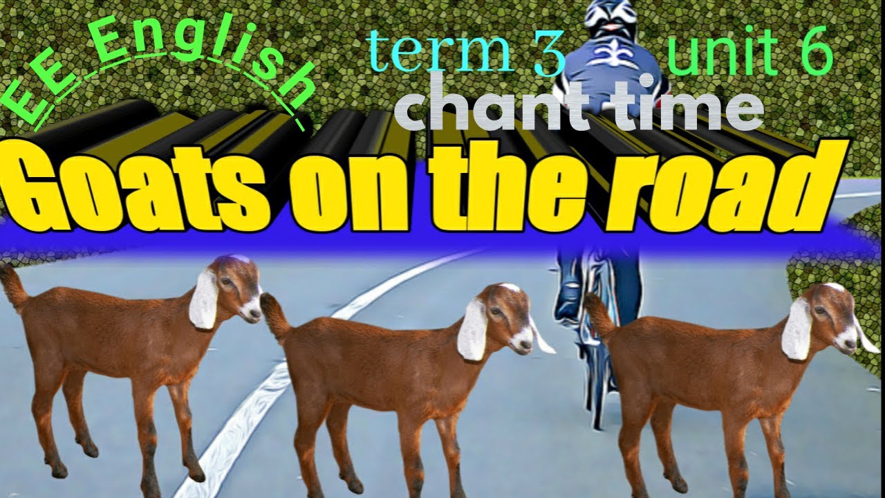 Do you see the goats on the road? /EE ENGLISH/term 3 unit 6 /chant time ...