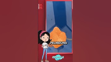 Kenapa Kaca Nggak Tembus Saat Ditaruh di Lava?#shorts