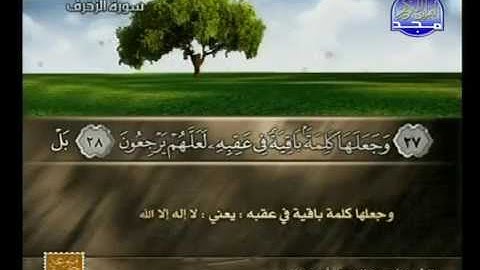 ما تيسر من سورة " الزخرف " للقارئ عبدالرحمن أبو حطب
