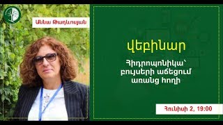 Հիդրոպոնիկա՝ բույսերի աճեցում առանց հողի Հիդրոպոնիկա՝ բույսերի աճեցում առանց հողի
