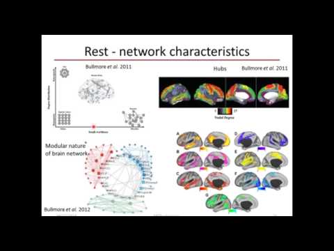 Mining Neuroimaging Data to Explore Brain Dynamics by Dr. Gowtham Atluri (Univ. of Minnesota)