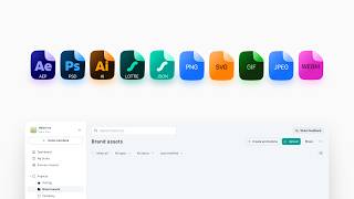 LottieFiles Digital Asset Management