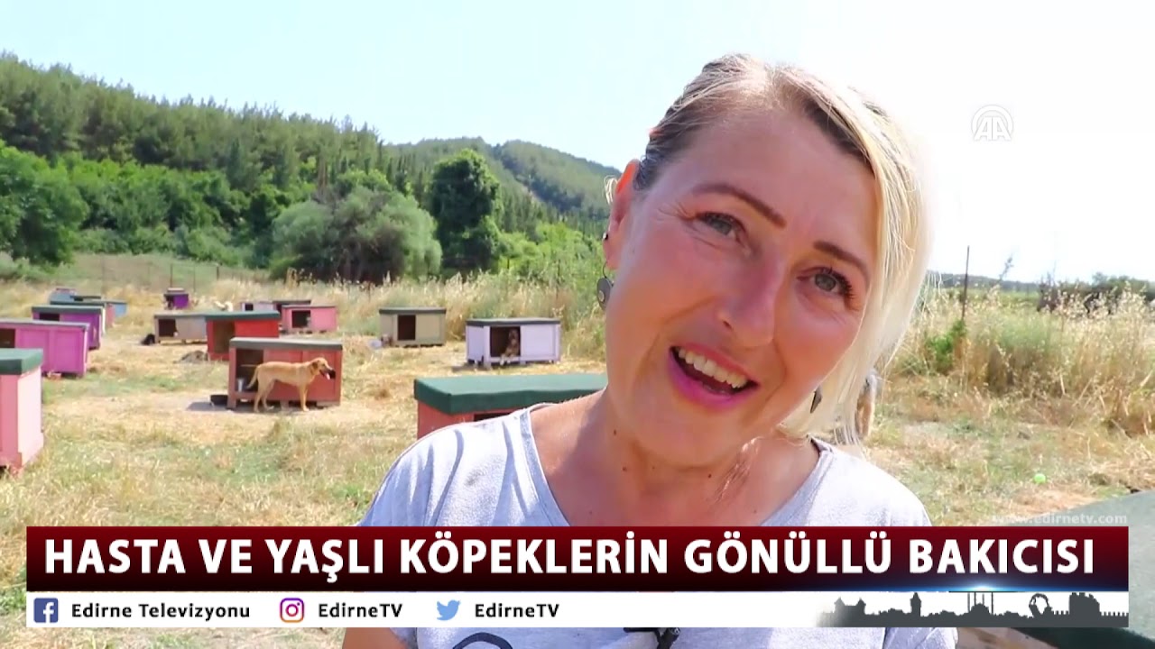 HASTA VE YAŞLI KÖPEKLERİN GÖNÜLLÜ BAKICISI sonos speakers