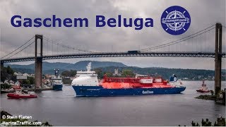 Gaschem Beluga
