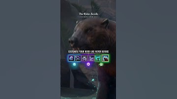 Customize the way you play like never before. Subclassing arrives free with Update 46 in June.