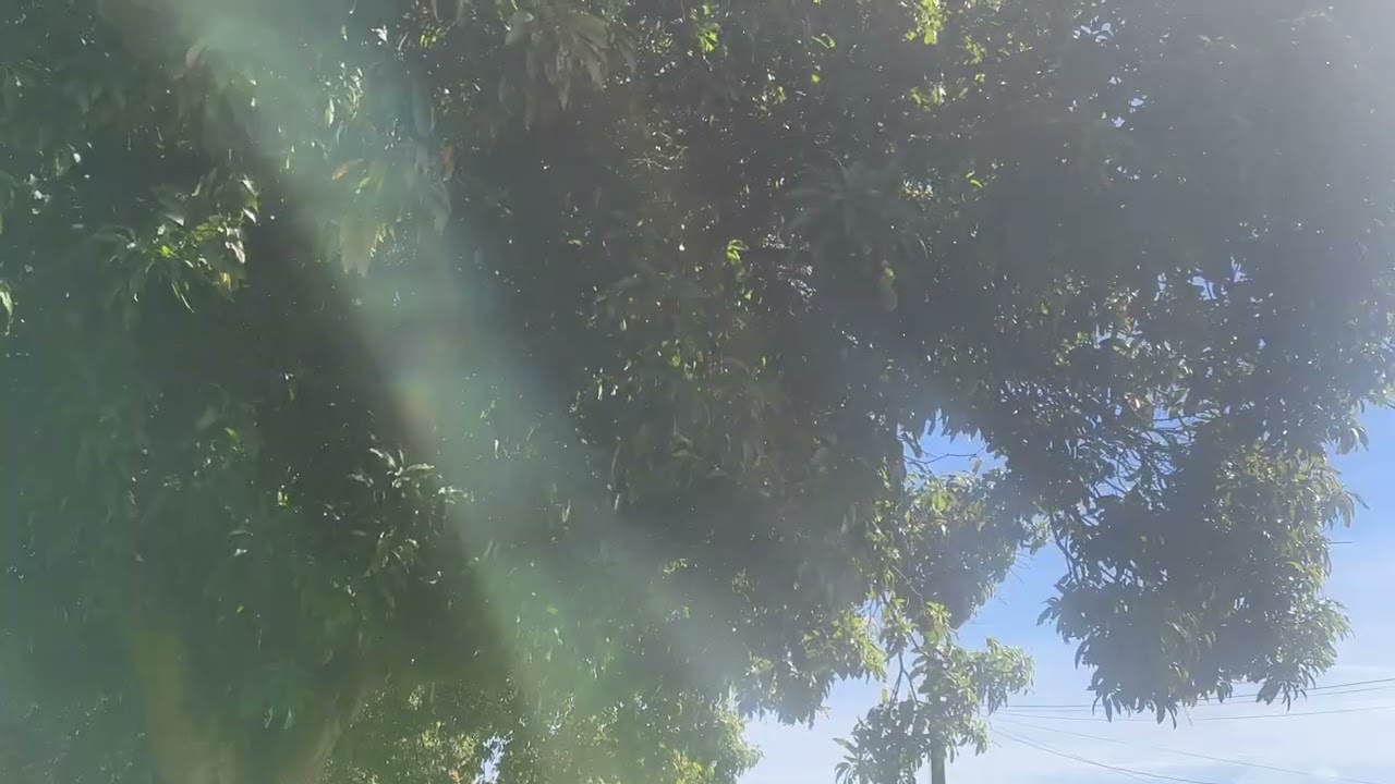 Bora conhecer um ponto turístico em Primeiro de maio pr