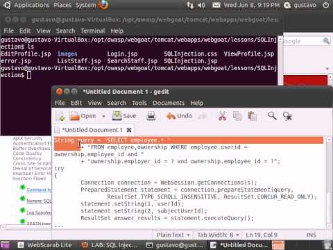 WebGoat v5.3 - Injection Flaws - LAB - Stage 4: Parameterized Query #2