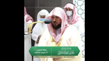 تلاوة مرئية من أجمل إبداعات الشيخ ماهر المعيقلي سورة التين صلاة المغرب 17 شعبان