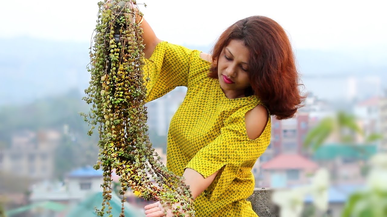 NEW way to Grow Tangled HEART Plant (You Haven't Seen Before