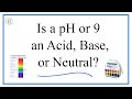 Understanding pH Levels and Measurements