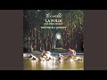 Miniature de la vidéo de la chanson Viola Da Gamba Sonata In D Major, Op. 5 No. 11: Preludio: Adagio