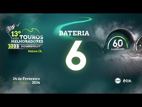 Bateria 6 - 13º Leilão de Touros Melhoradores Nelore OL - Edição Virtual