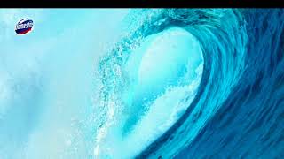 Domestos Alba Power 5 15 Sec Lv