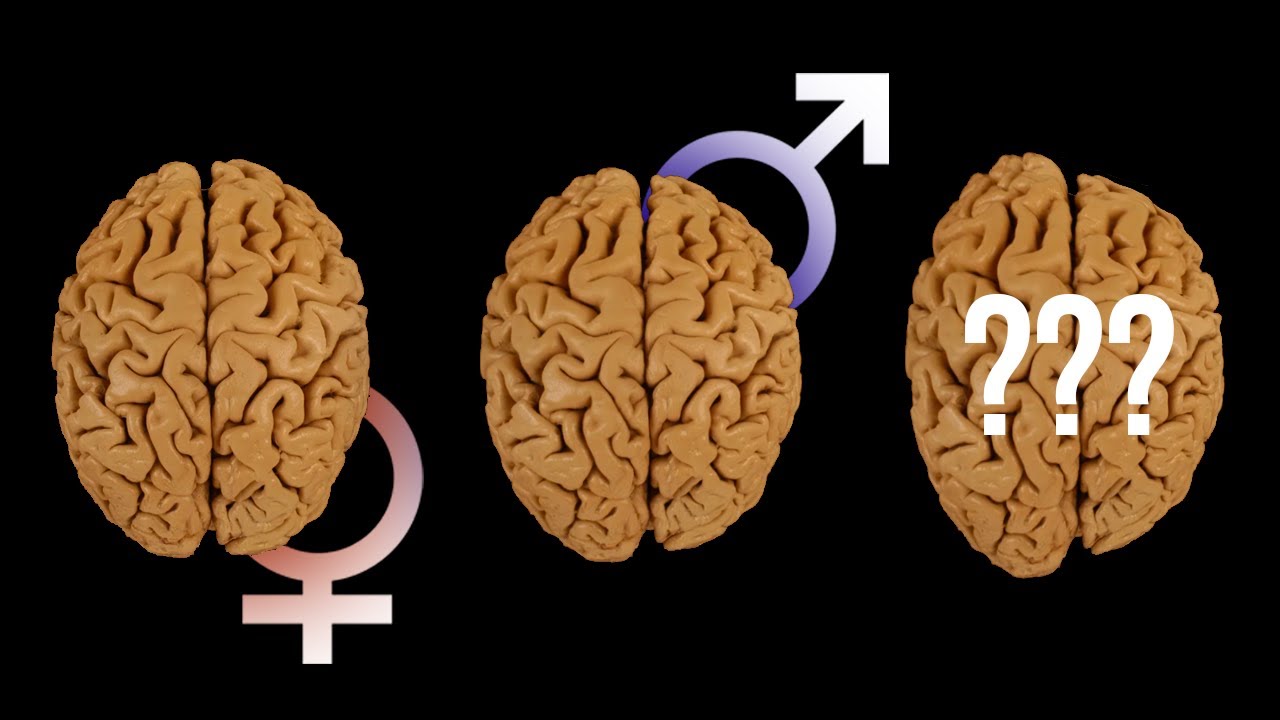 АУТИЗМ, АСПЕРГЕР и гипотеза СВЕРХМУЖСКОГО МОЗГА