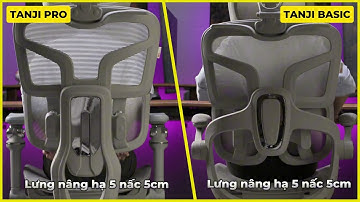 So sánh ghế công thái học SMA Tanji Basic và Tanji Pro