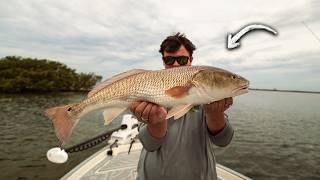 Tampa Bay Redfish & Trout Fishing with Live Bait