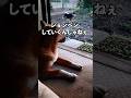 【回想】ジョン台風の来訪。
