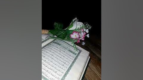 سورة الفجر تلاوة خاشعا من الشيخ عبد الرحمن بن جمال العوسي❤