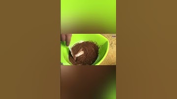 Thumbnail of Resep Cookies Beng Beng