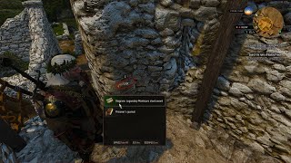 When CDPR Wants To Make Sure You Jump Off Your Chair - Witcher 3