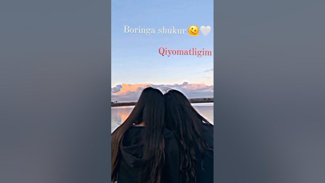 dugonalar uchun vidio - YouTube