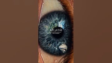 أفلم يسيروا في الأرض فتكون لهم قلوب - من سورة الحج - ياسر الدوسري || قناة الفردوس الأعلى