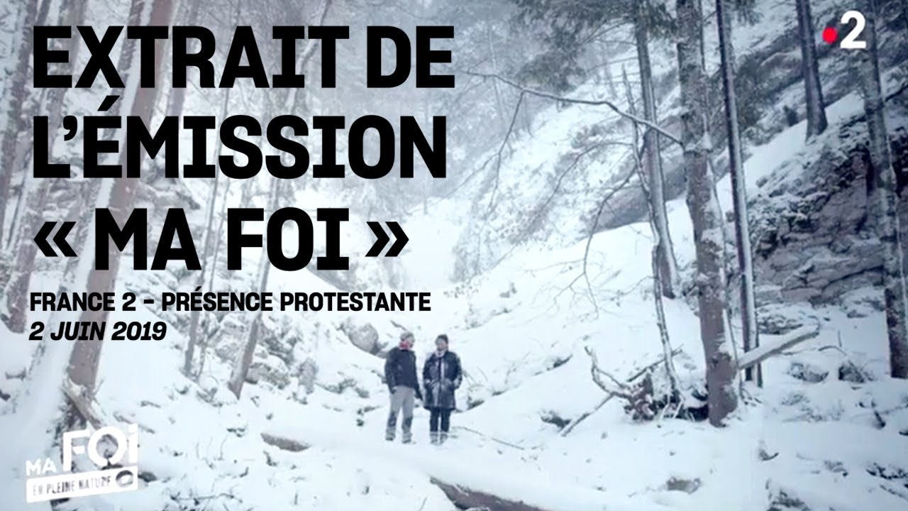 Dans la foret à l'écoute de Dieu