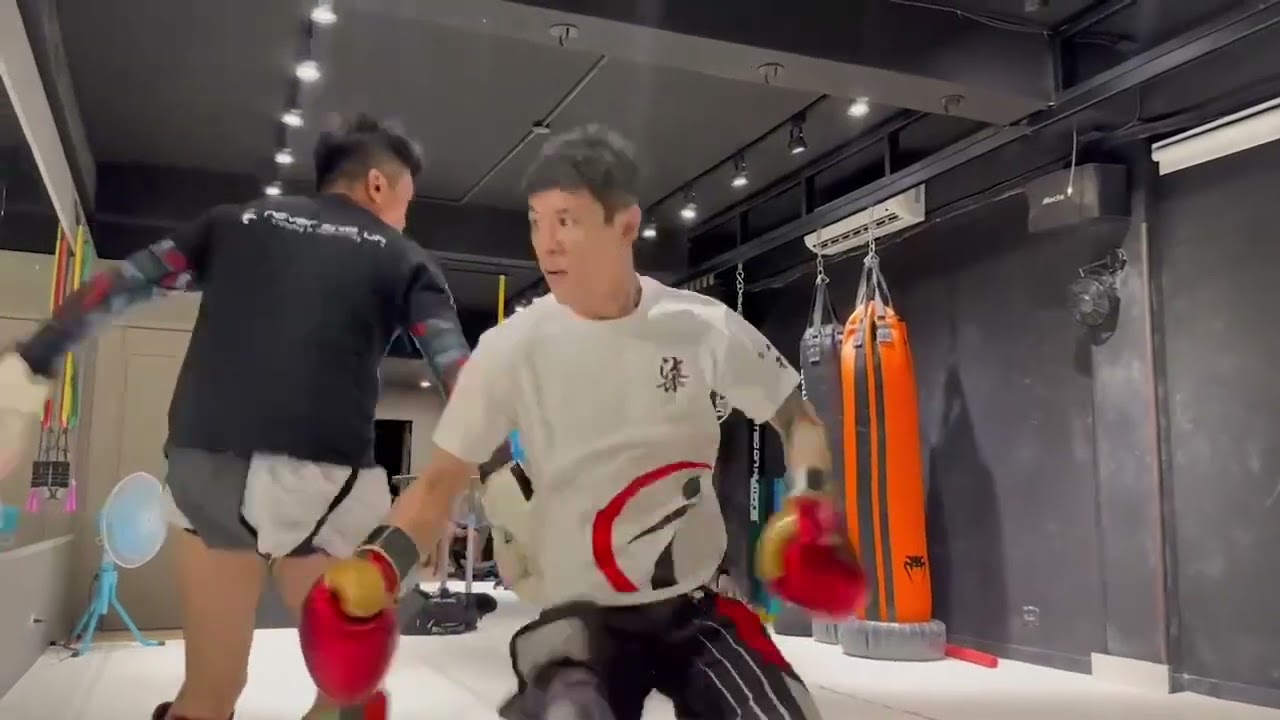 心意六合拳，雲遮日月把，大蛇形簡單教學