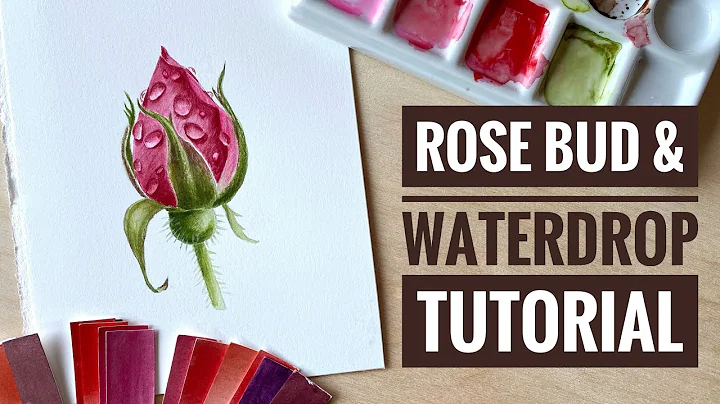 How to paint waterdrops with watercolors | Rose bu...