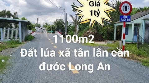 Bán 1100m2 đất lúa ấp rạch bộng xã tân lân cần đước Long An