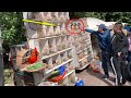 Bird Market For Rare Birds 