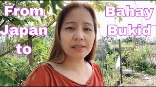 From Japan to Bahay Bukid | Back to Basics Si Mari先生 From Japan to Bahay Bukid | Back to Basics Si Mari先生
