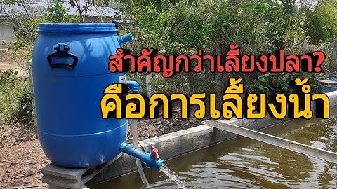#Content #SetUp_FilterTank ปี3 |EP.56| สำคัญกว่าการเลี้ยงปลา?คือการเลื้ยงน้ำ