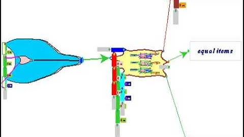 Sort - Pictorial Janus