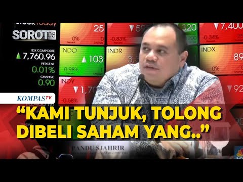 Suntik Pasar Modal! Danantara Blak-blakan Kriteria Emiten Saham yang Dibeli