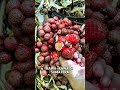 penampakan buah unik asam paya #videoahorts #trending #semuaorang #fruit #pineapple