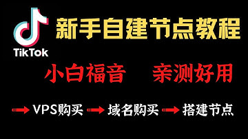 Tiktok稳定网络节点，域名注册、解析、托管Cloudflare，naiveproxy搭建科学上网，翻墙完美隐藏，让你的VPS不再被墙，V2ray可用，VPS搭建科学上网节点，保姆级教程