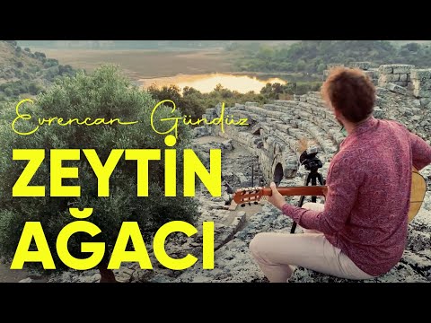 Evrencan Gündüz - Zeytin Ağacı (Lyric Video)